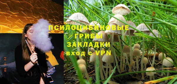 мяу мяу кристалл Бородино