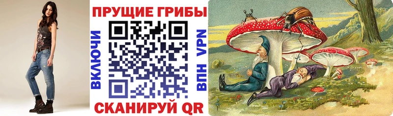 закладки  Горно-Алтайск  ОМГ ОМГ ONION  Галлюциногенные грибы Psilocybe 